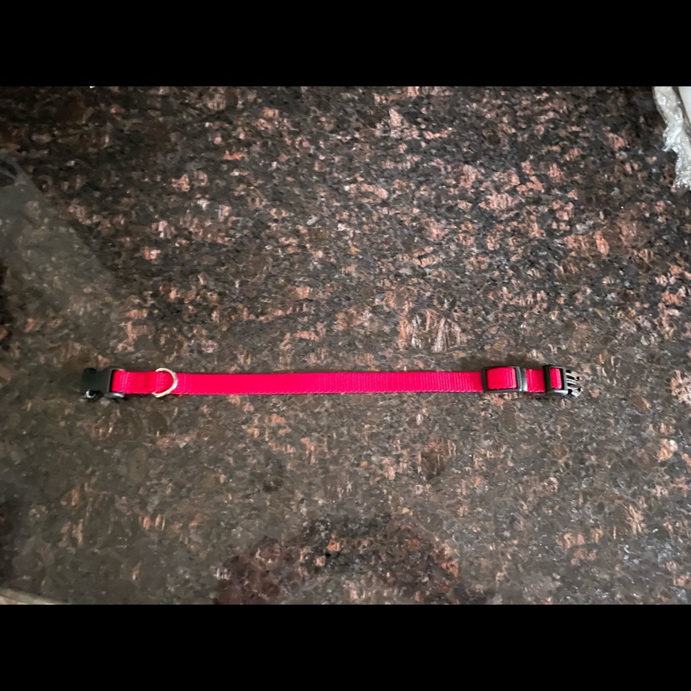 Small Red Nylon Leash - Picture 6 of 8